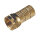 GLOMEX F-Stecker