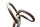 GLEISTEIN Jackline PES