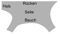Rindsleder/Chromleder 1/2 Haut ca.2,5m²