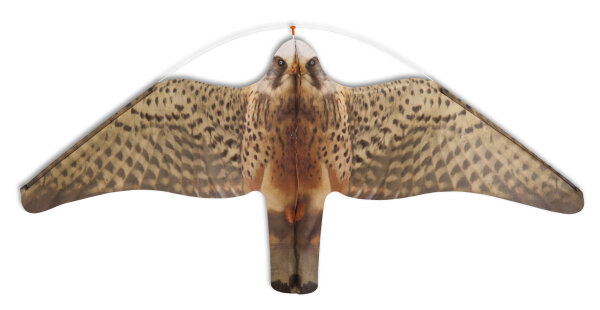 STOPGULL Falke