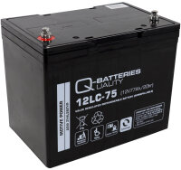 Q-BATTERIES Zyklenbatterie AGM
