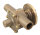 JABSCO Flanschpumpe BG040 Bronze für Schlauch 25mm Neopren